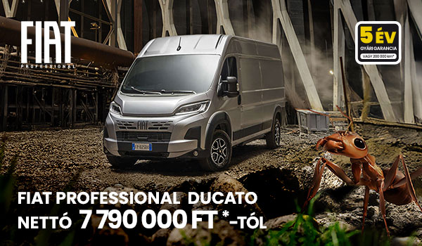 FIAT professional
