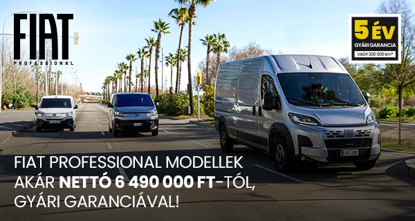 FIAT professional