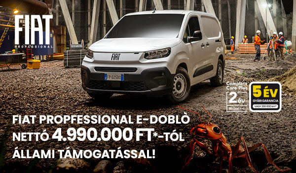 FIAT professional