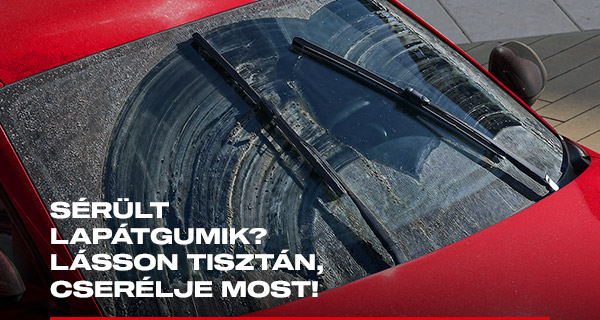 Ablaktörlő lapát akció 